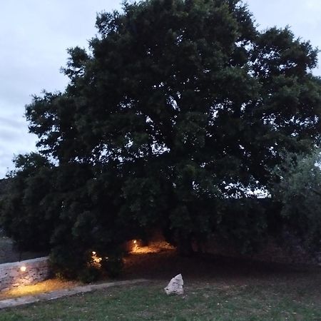 Vila Trulli La Quercia Del Nonno Locorotondo Exteriér fotografie