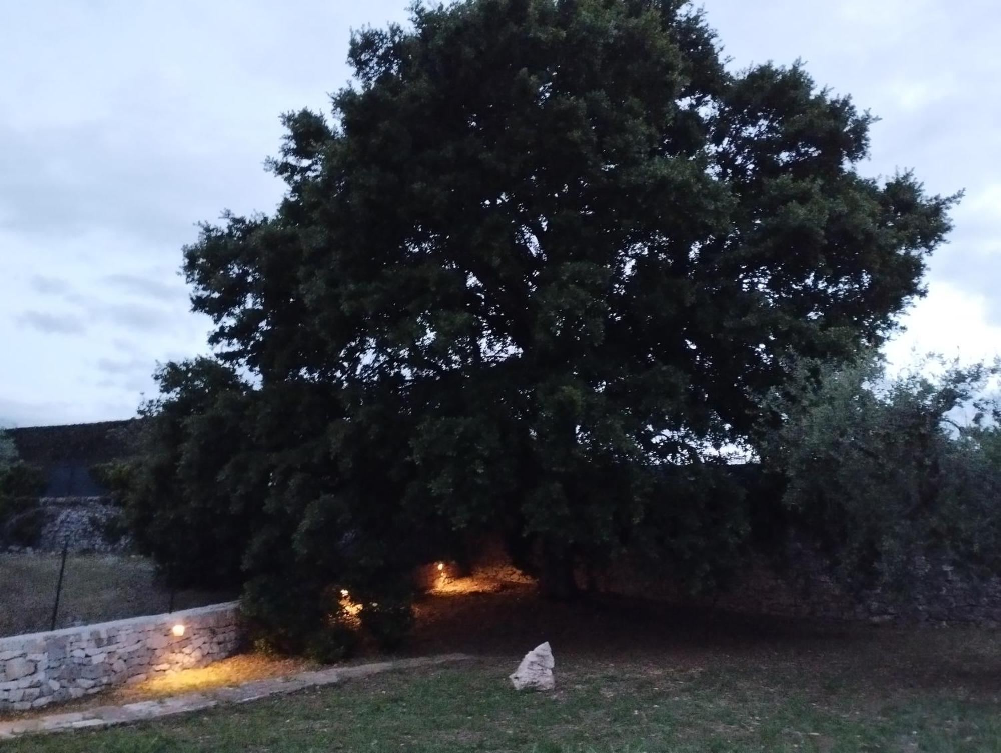 Vila Trulli La Quercia Del Nonno Locorotondo Exteriér fotografie